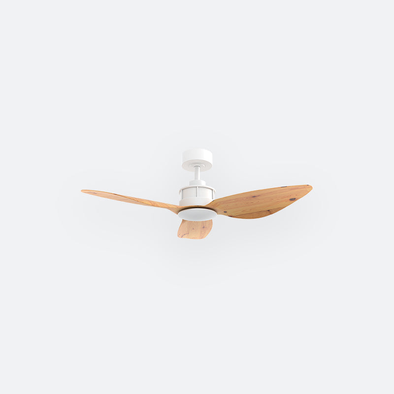 Y10N Scandinavian DFY Decor Fan (NL2/T5F)
