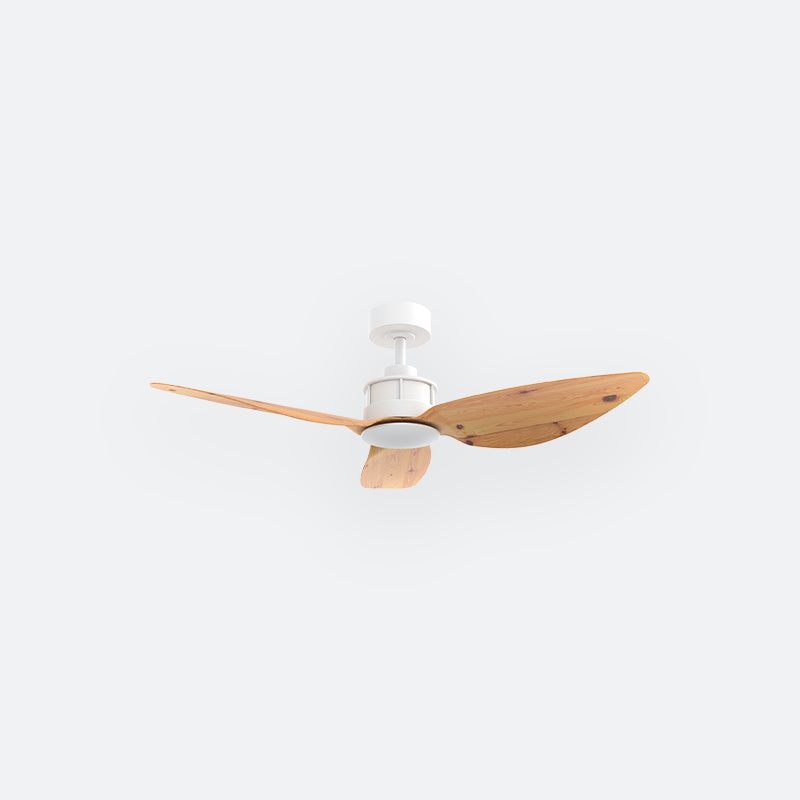 Y10N Scandinavian DFY Decor Fan (NL2/T5F)