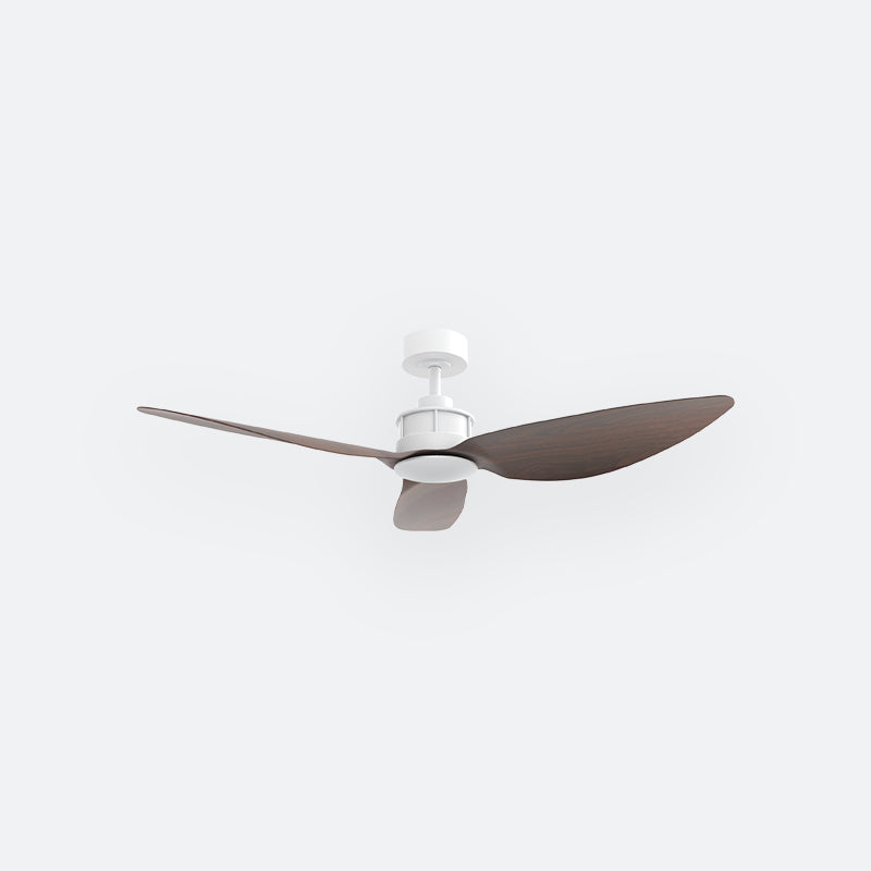 Y10N Scandinavian DFY Decor Fan (NL2/T5F)