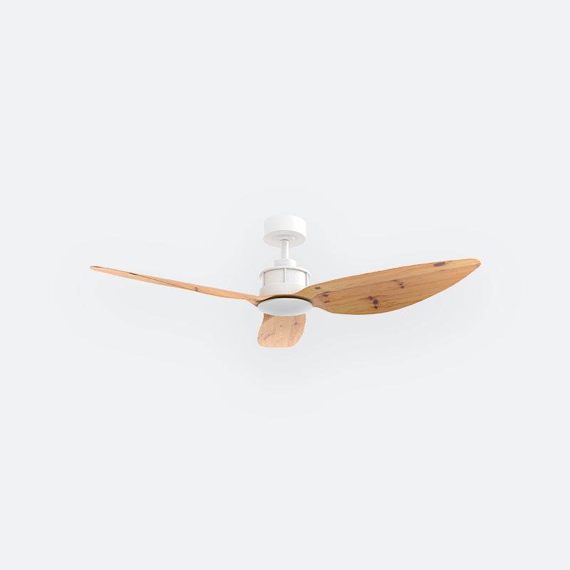 Y10N Scandinavian DFY Decor Fan (NL2/T5F)