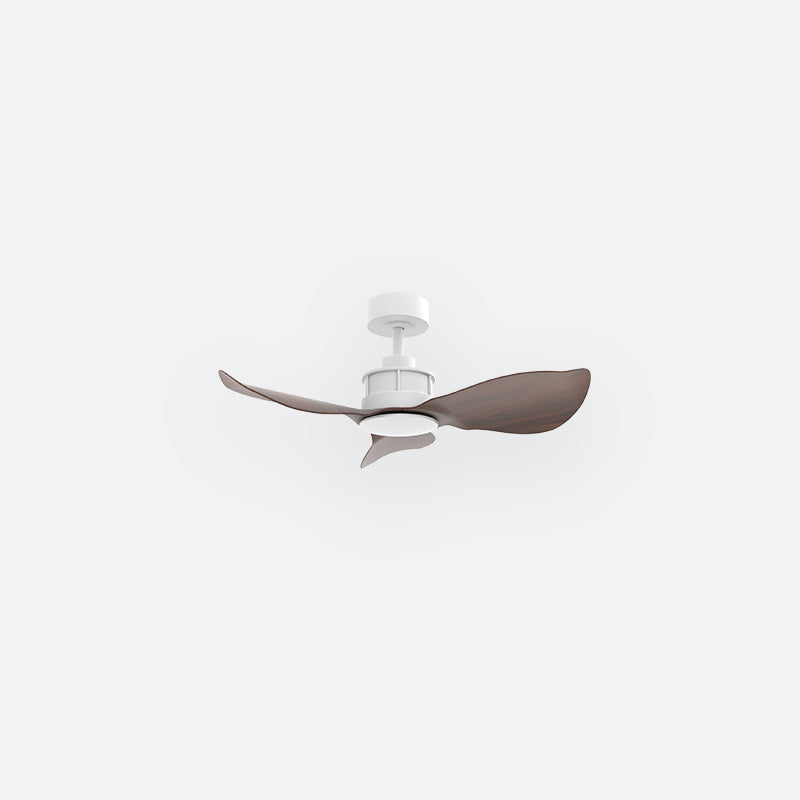 Y30N Modern DFY Decor Fan (NL2/T5F)