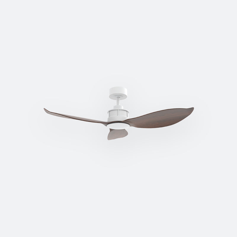 Y30N Scandinavian DCI Decor Fan (NL2/T5F)