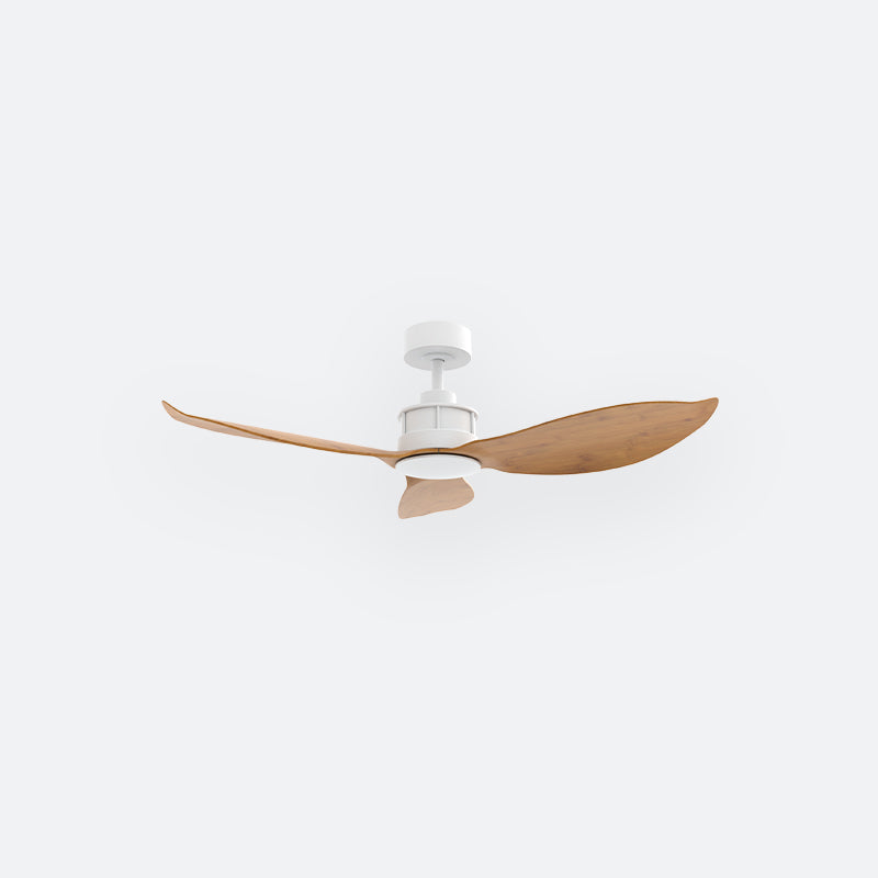 Y30N Scandinavian DCI Decor Fan (NL2/T5F)