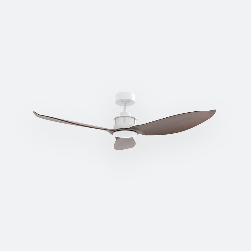 Y30N Scandinavian DCI Decor Fan (NL2/T5F)
