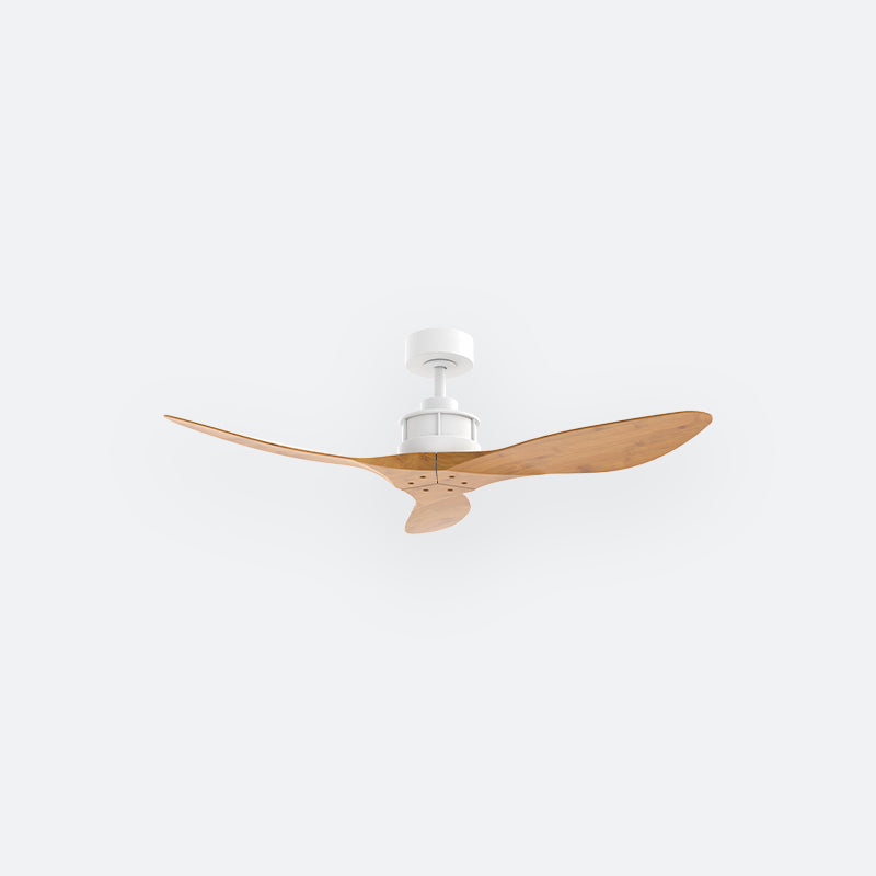 Y50N Scandinavian DCI Decor Fan (NL2/T5F)