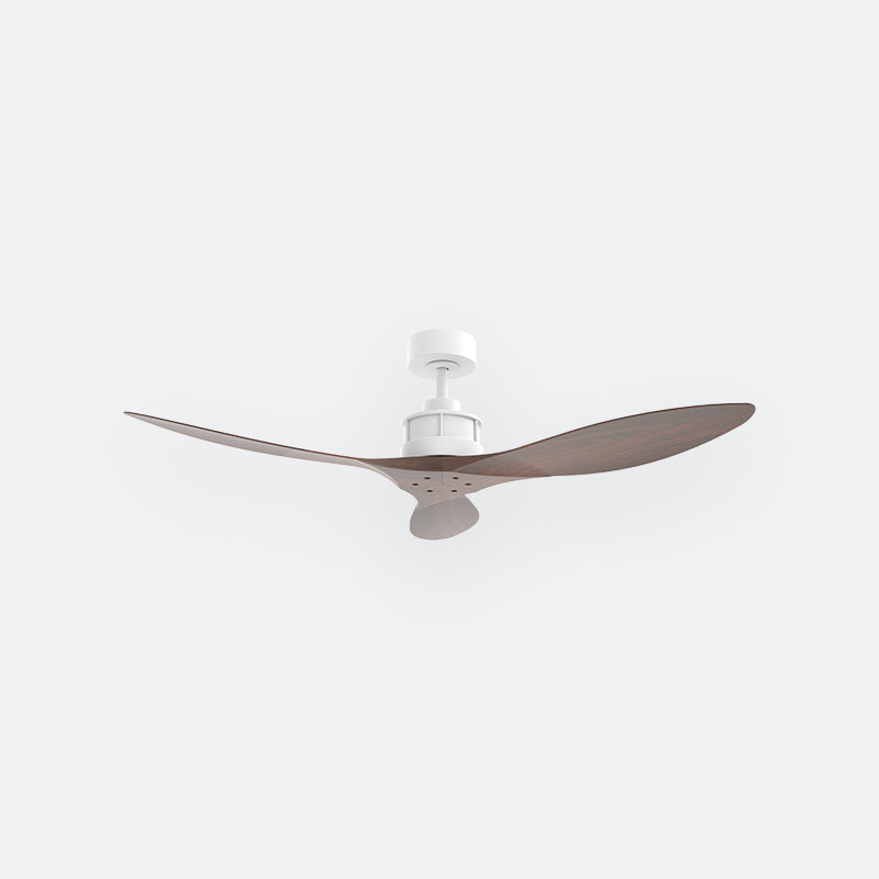 Y50N Scandinavian DCI Decor Fan (NL2/T5F)