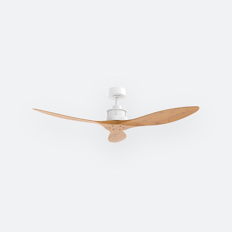 Y50N Scandinavian DCI Decor Fan (NL2/T5F)