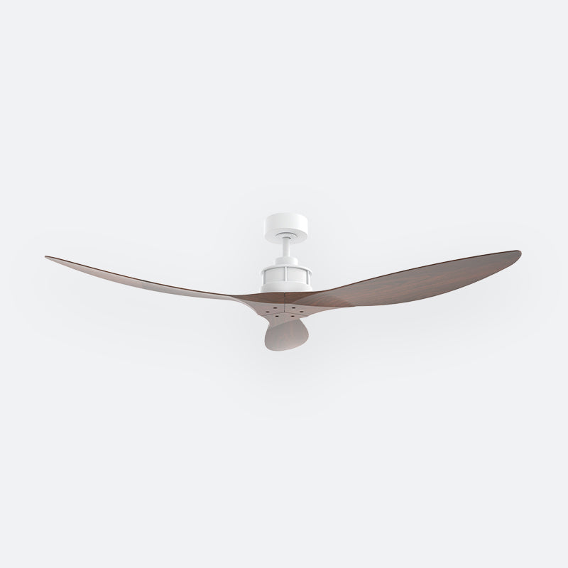 Y50N Scandinavian DCI Decor Fan (NL2/T5F)