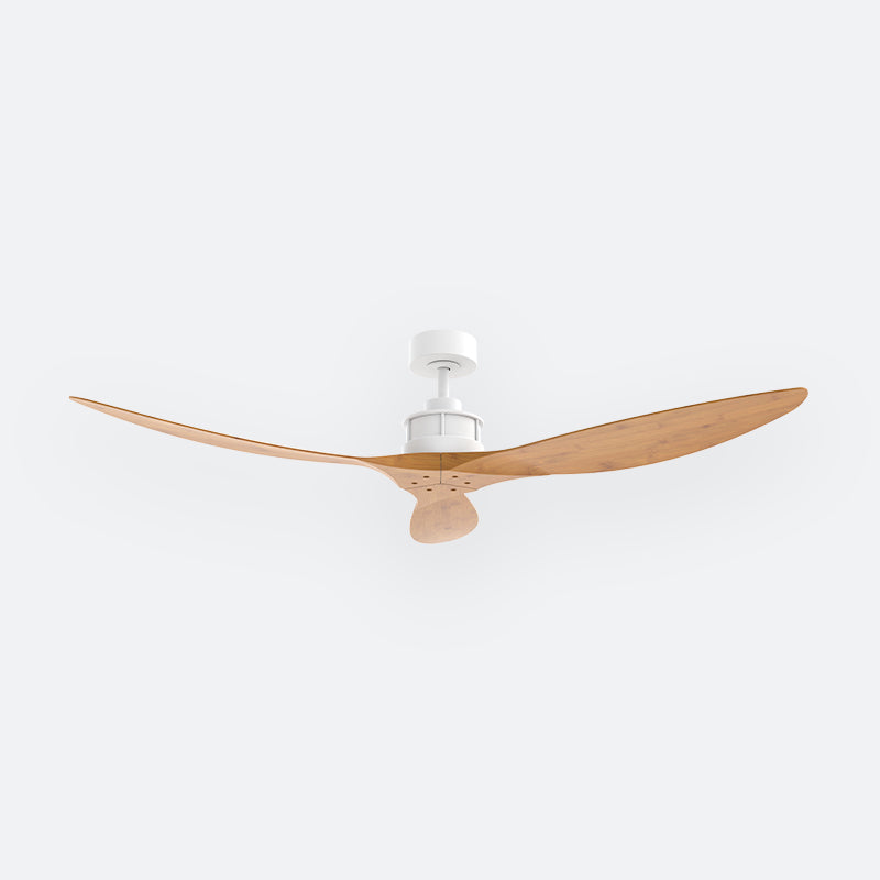 Y50N Scandinavian DCI Decor Fan (NL2/T5F)