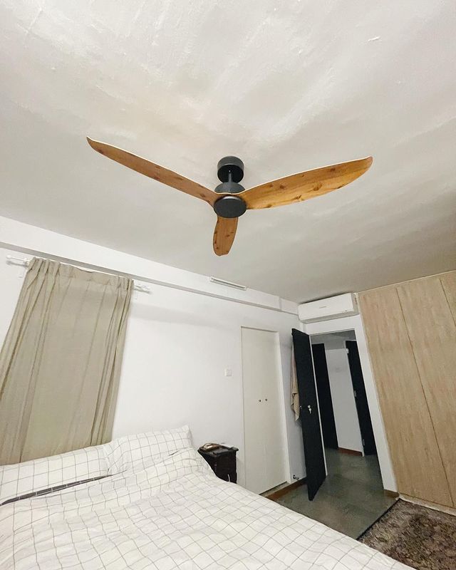 WVVE Scandinavian Decor Fans (NLO)