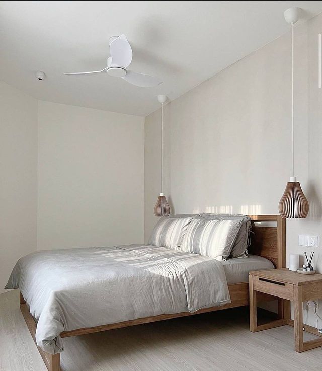CDVE Modern Decor Fans (NLO)