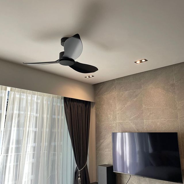 CDVE Modern Decor Fans (NLO)
