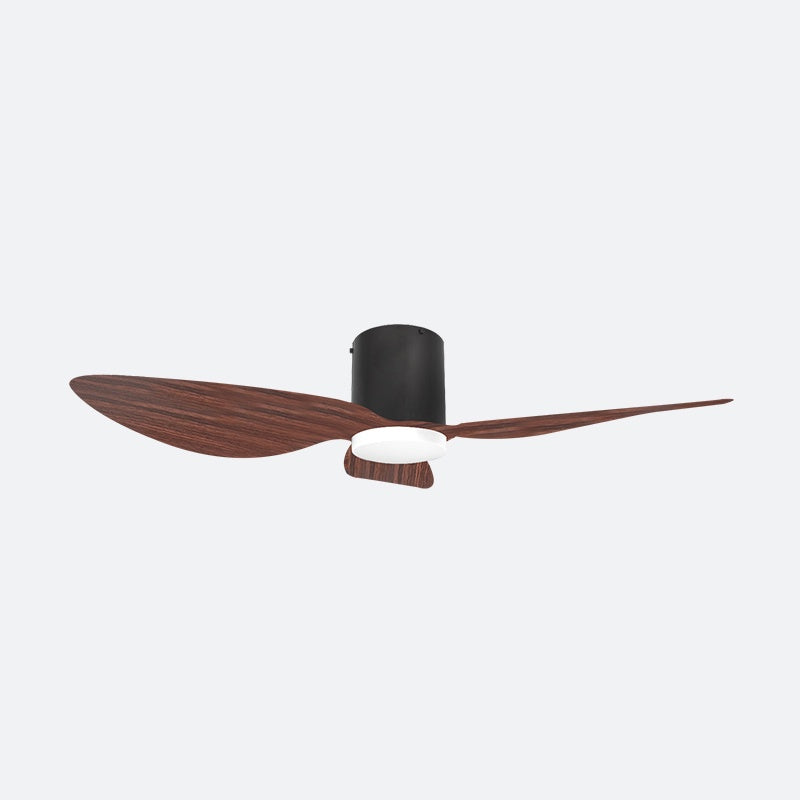 ASER 50″ Scandinavian Decor Fans (T5F/NLO)
