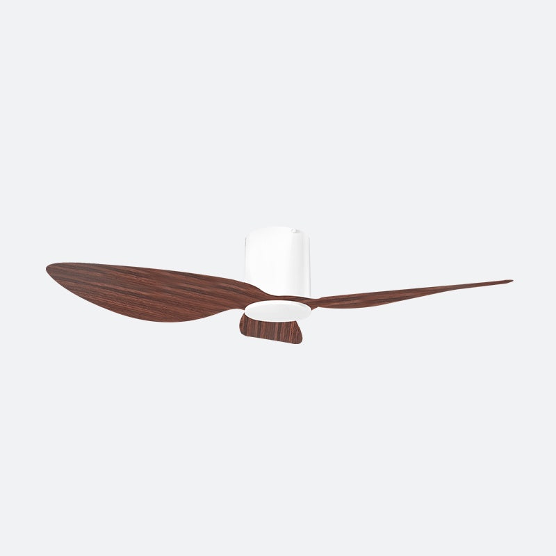 ASER 50″ Scandinavian Decor Fans (T5F/NLO)