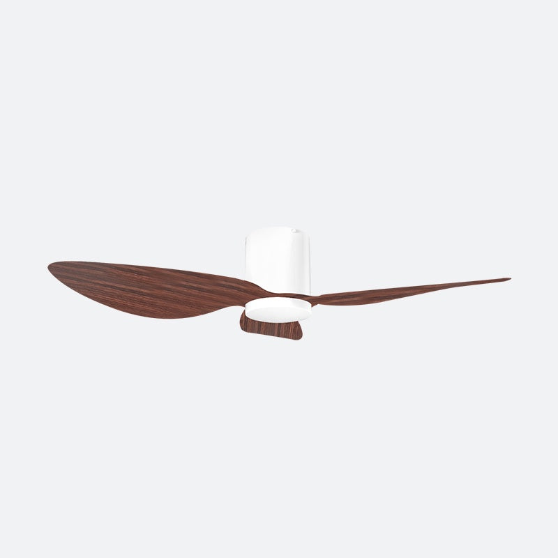ASER 50″ Scandinavian Decor Fans (T5F/NLO)