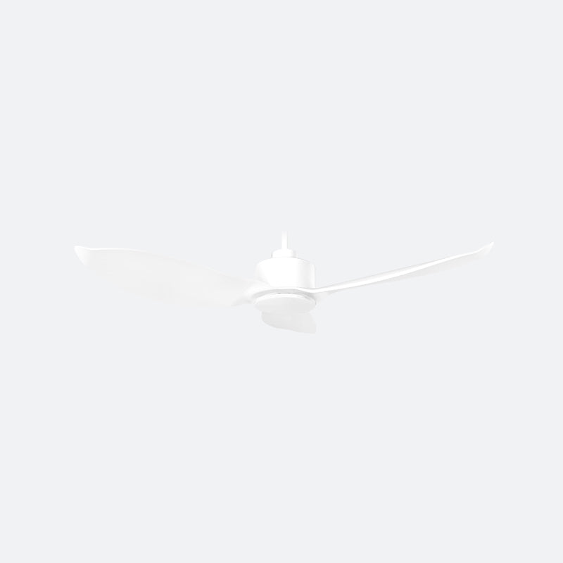 CDVE Modern Decor Fans (NLO)
