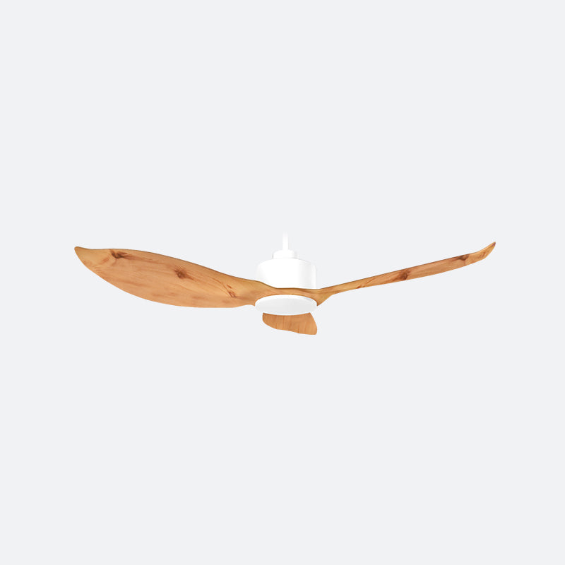 CDVE Scandinavian Decor Fans (NLO)