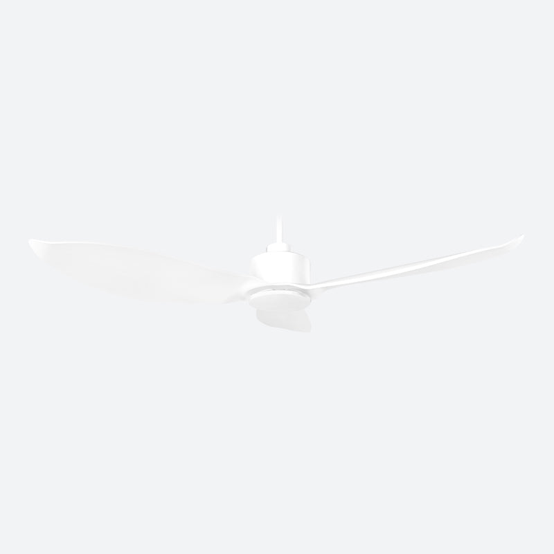CDVE Modern Decor Fans (NLO)