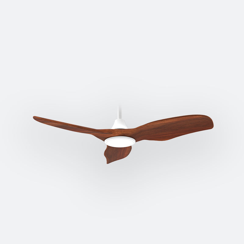AG38 Scandinavian Decor Fans (T5F)