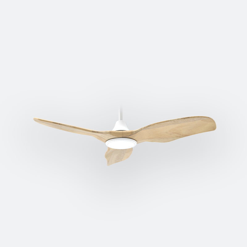 AG38 Scandinavian Decor Fans (T5F)