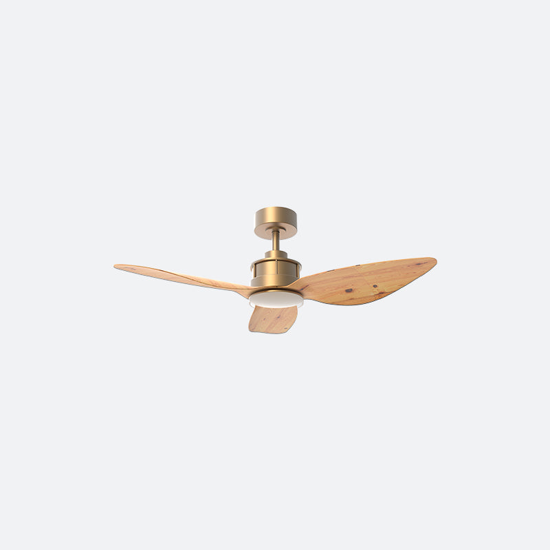 AV10 AVIATE Scandinavian BRASS Decor Fan (NL2/V5F)