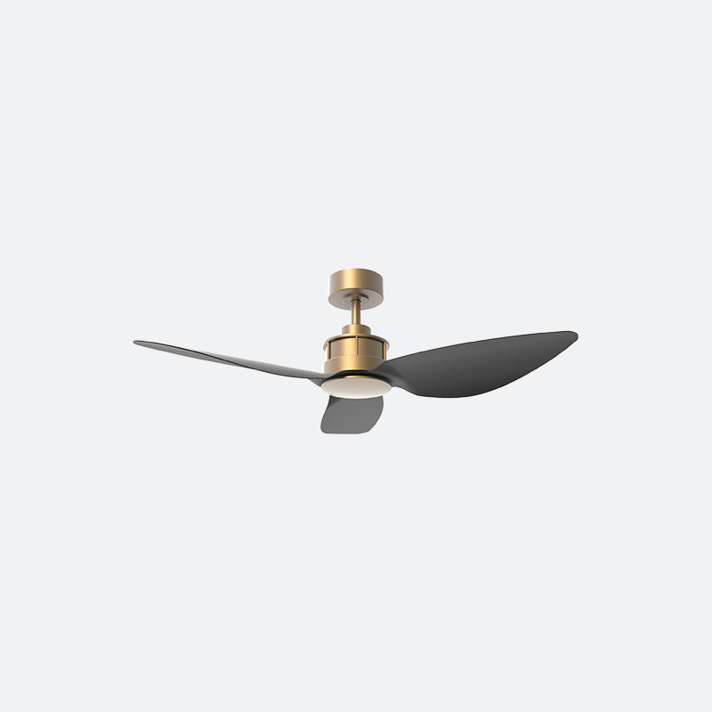 AV10 AVIATE Modern BRASS Decor Fan (NL2/V5F)