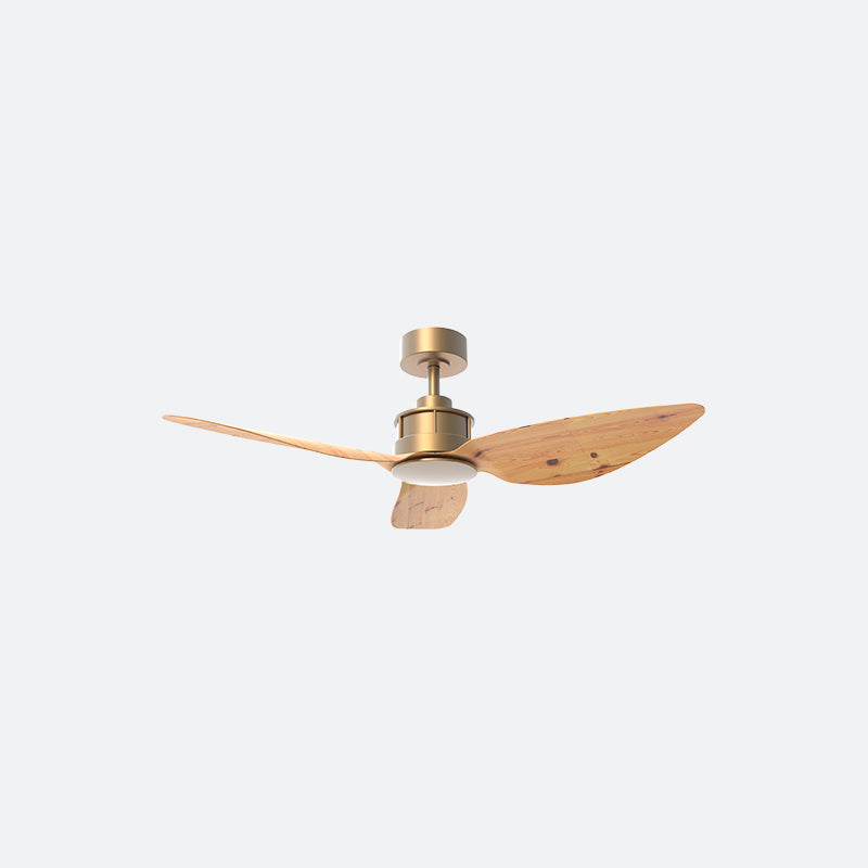 AV10 AVIATE Scandinavian BRASS Decor Fan (NL2/V5F)