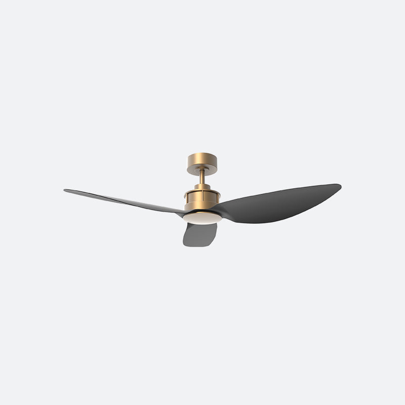 AV10 AVIATE Modern BRASS Decor Fan (NL2/V5F)