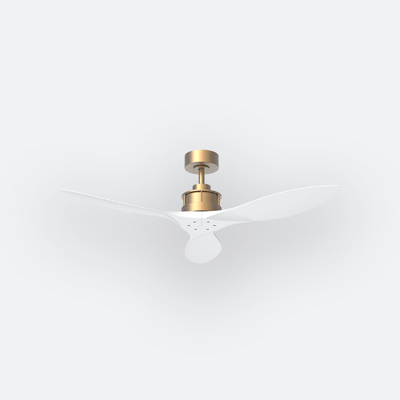 AV50 AVIATE Luxe BRASS Decor Fan (NL0/V5F)