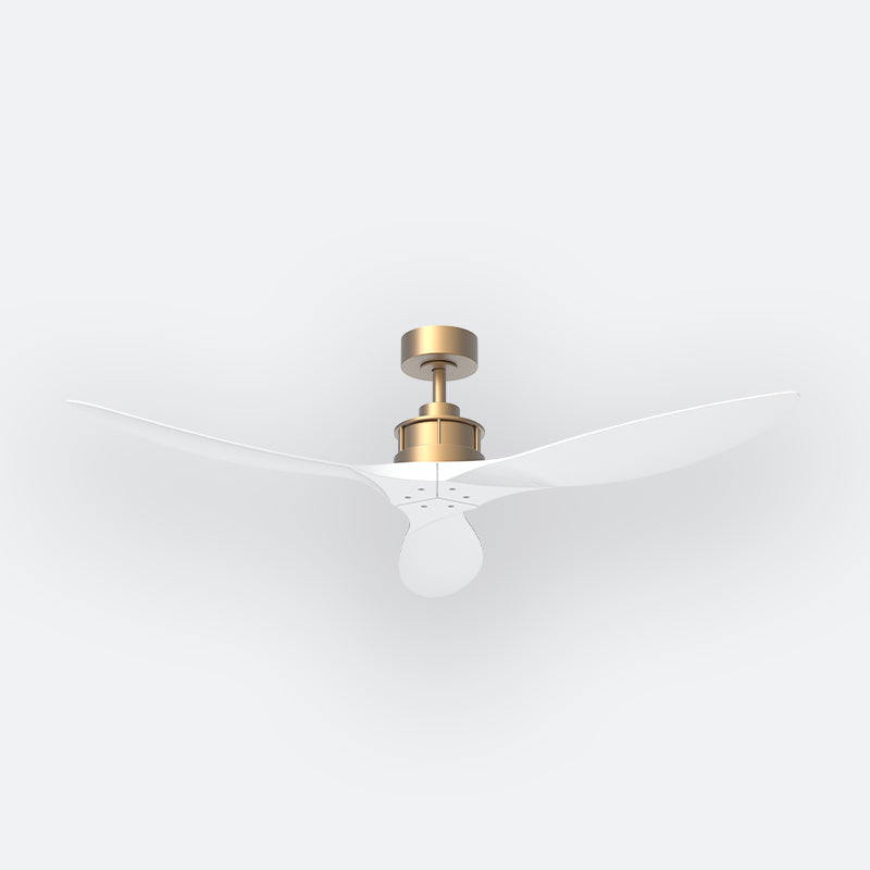 AV50 AVIATE Luxe BRASS Decor Fan (NL0/V5F)