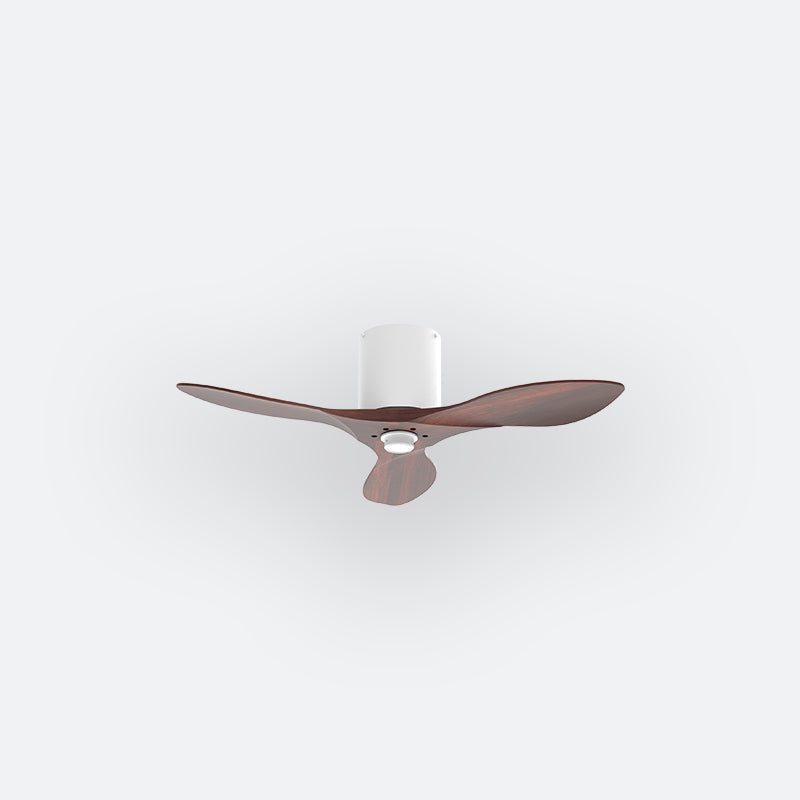 BAER Scandinavian Decor Fan (NLO/SRF/MRF)