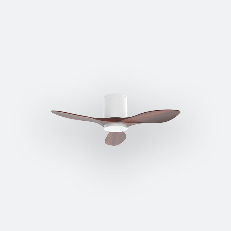 BAER Scandinavian Decor Fan (NLO/SRF/MRF)
