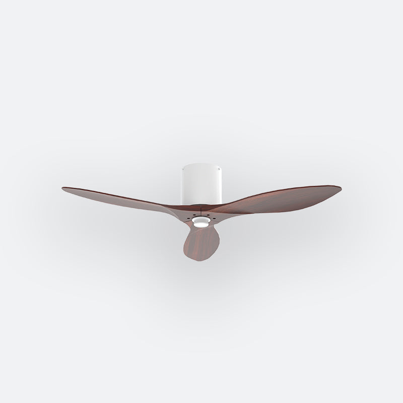 BAER Scandinavian Decor Fan (NLO/SRF/MRF)