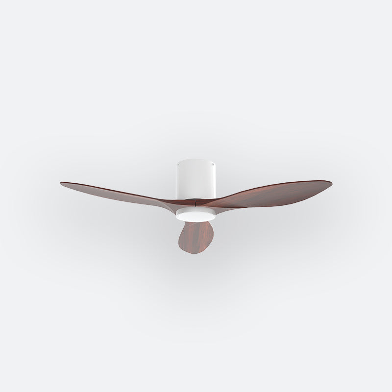 BAER Scandinavian Decor Fan (NLO/SRF/MRF)