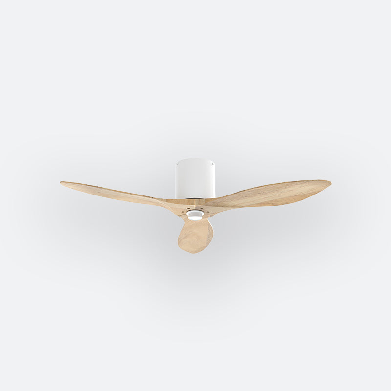 BAER Scandinavian Decor Fan (NLO/SRF/MRF)