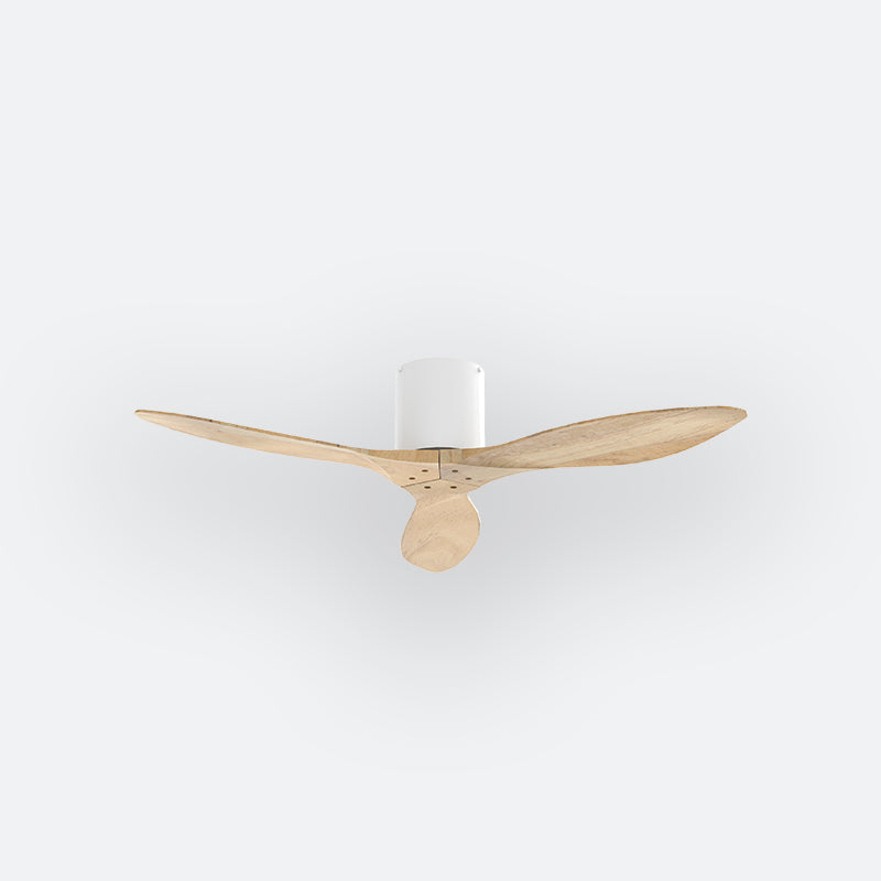 BAER Scandinavian Decor Fan (NLO/SRF/MRF)