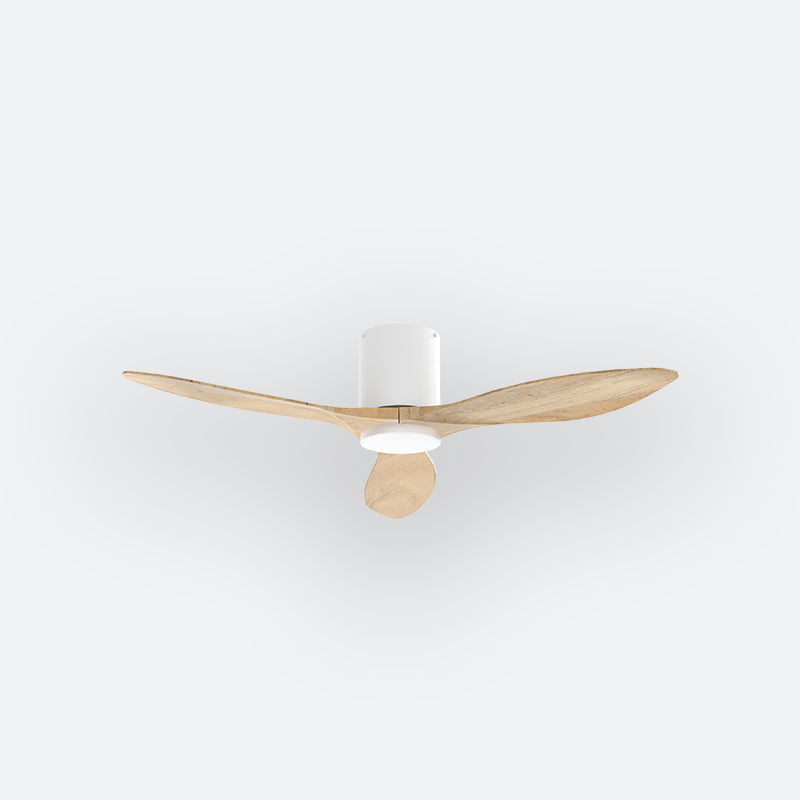 BAER Scandinavian Decor Fan (NLO/SRF/MRF)