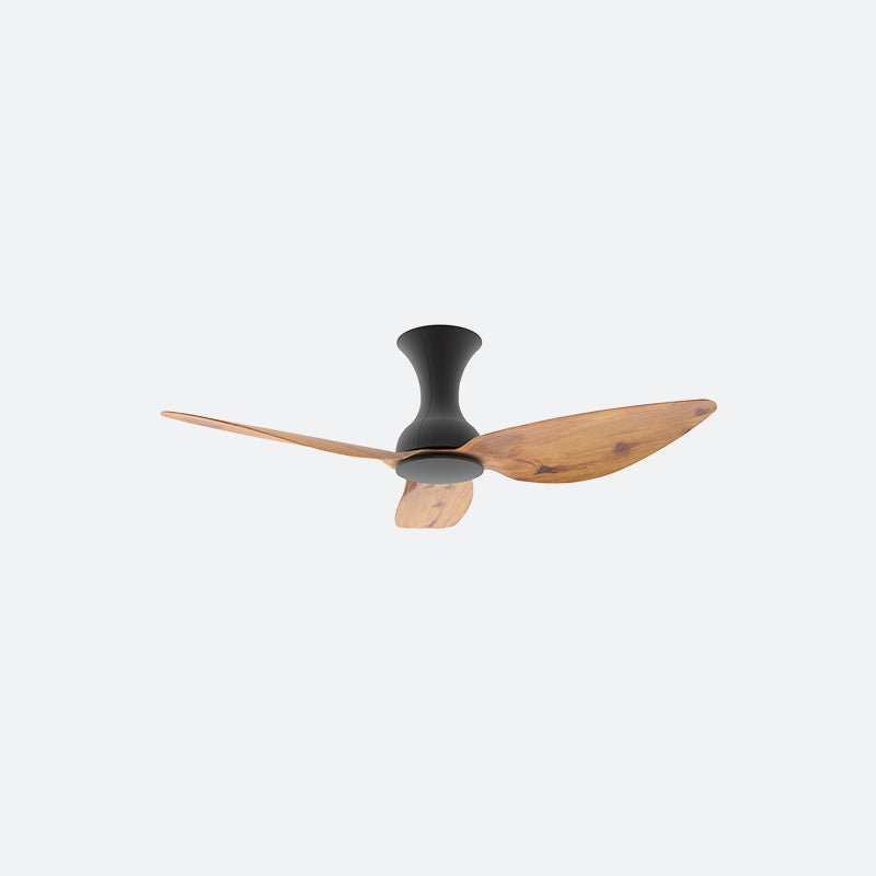 D10N Scandinavian DFY Decor Fan (NL2/V5F)