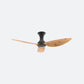 D10N Scandinavian DFY Decor Fan (NL2/V5F)