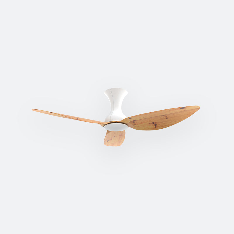 D10N Scandinavian DFY Decor Fan (NL2/V5F)