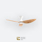 D10N Scandinavian DFY Decor Fan (NL2/SRF)