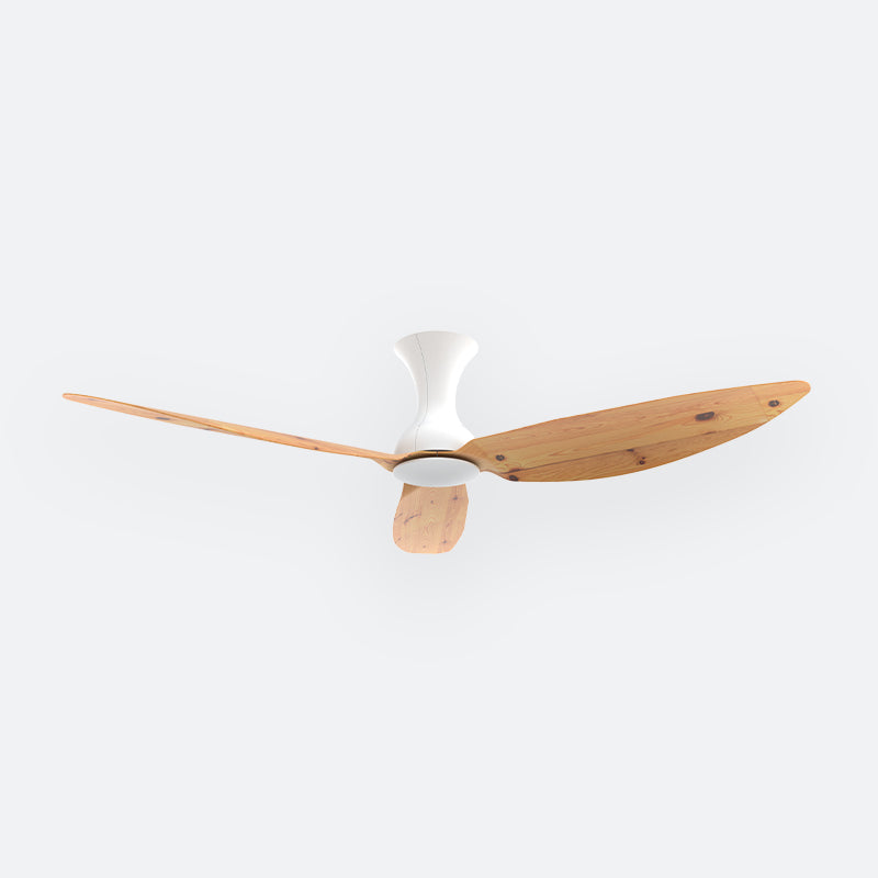 D10N Scandinavian DFY Decor Fan (NL2/V5F)