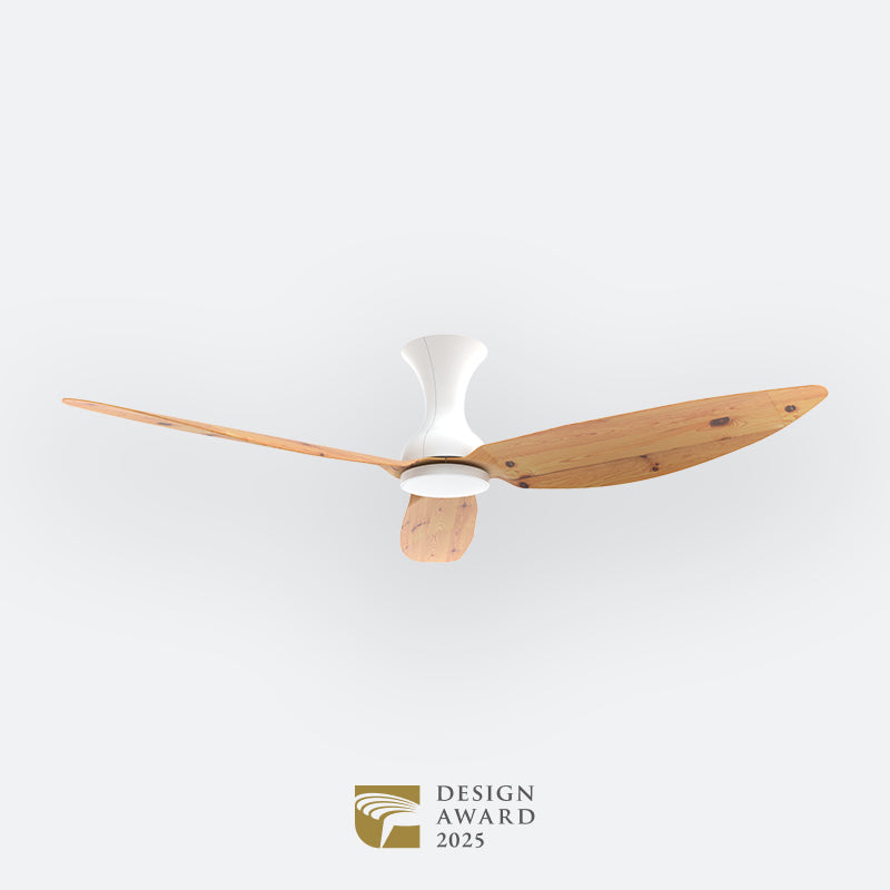 D10N Scandinavian DFY Decor Fan (NL2/SRF)