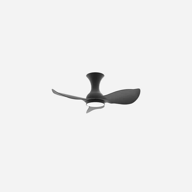 D30N Modern DFY Decor Fan (NL2/SRF)