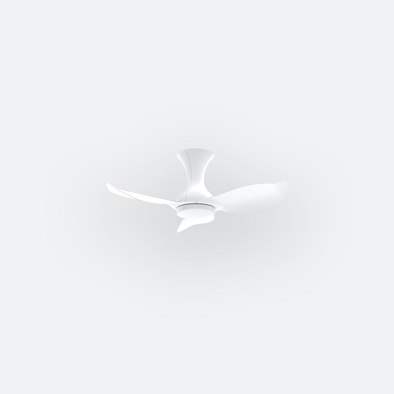 D30N Modern DFY Decor Fan (NL2/SRF)