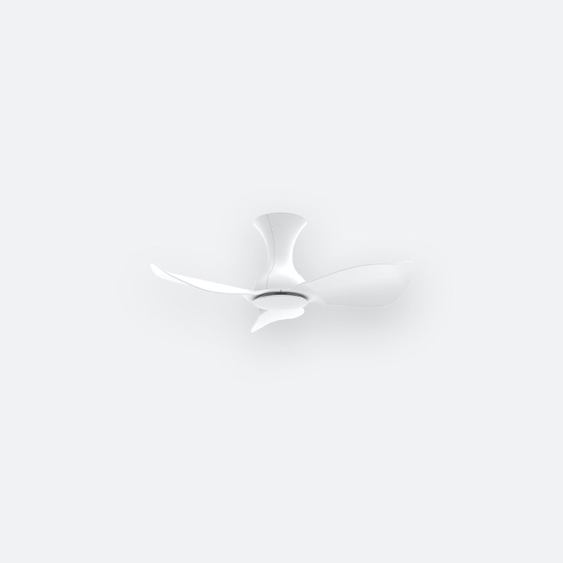 D30N Modern DFY Decor Fan (NL2/SRF)