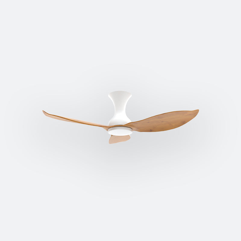 D30N Scandinavian DFY Decor Fan (NL2/SRF)