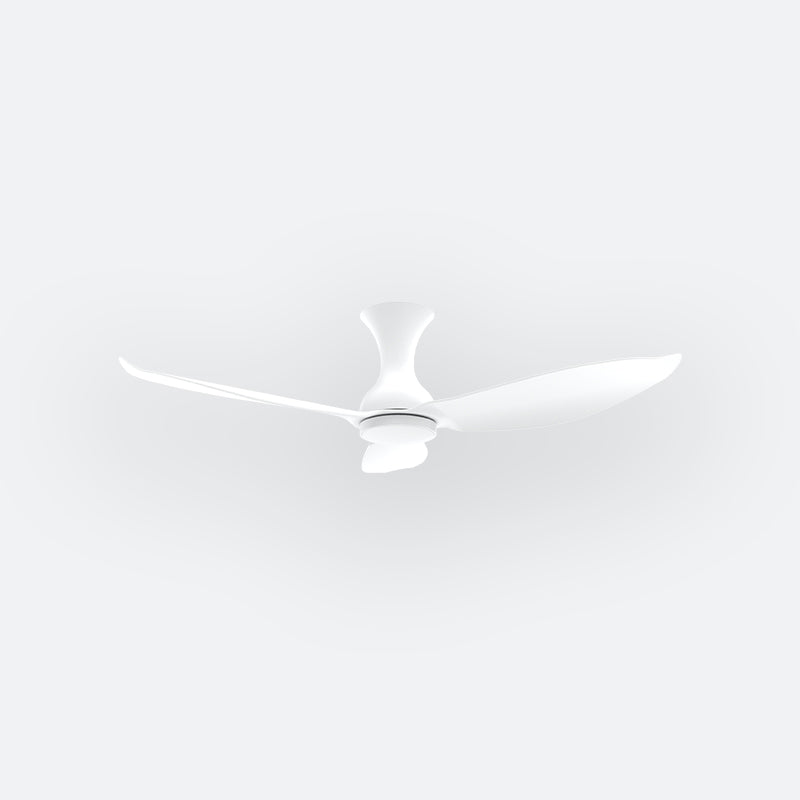 D30N Modern DFY Decor Fan (NL2/SRF)