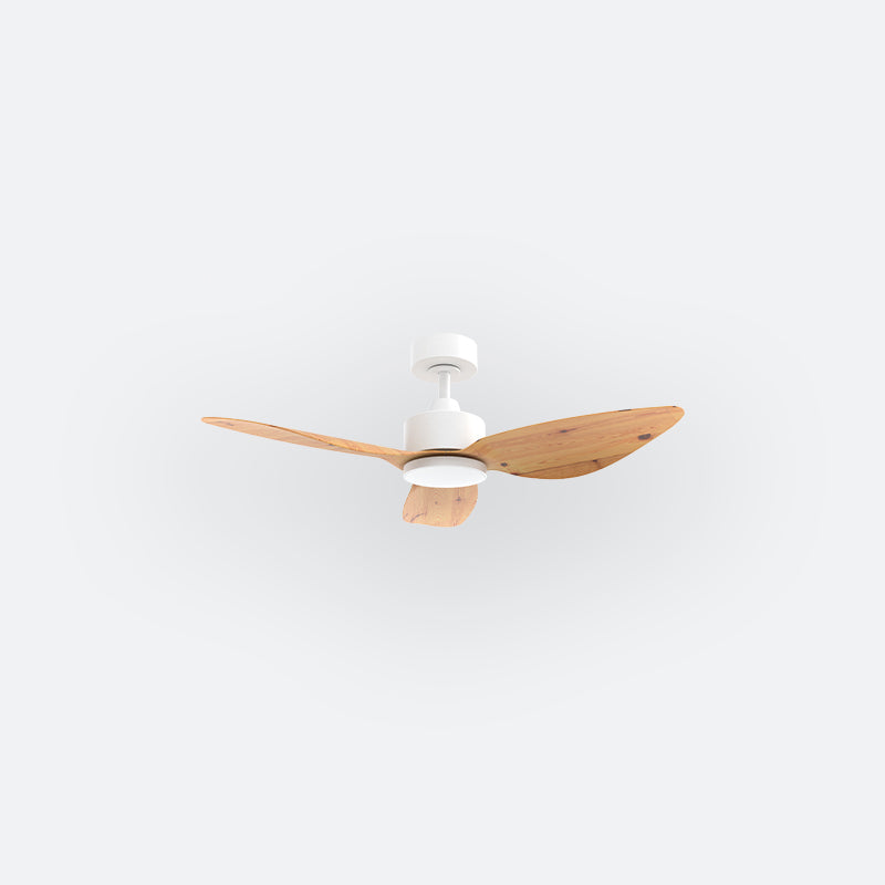E10N Scandinavian DCI Decor Fan (NL2/SRF)
