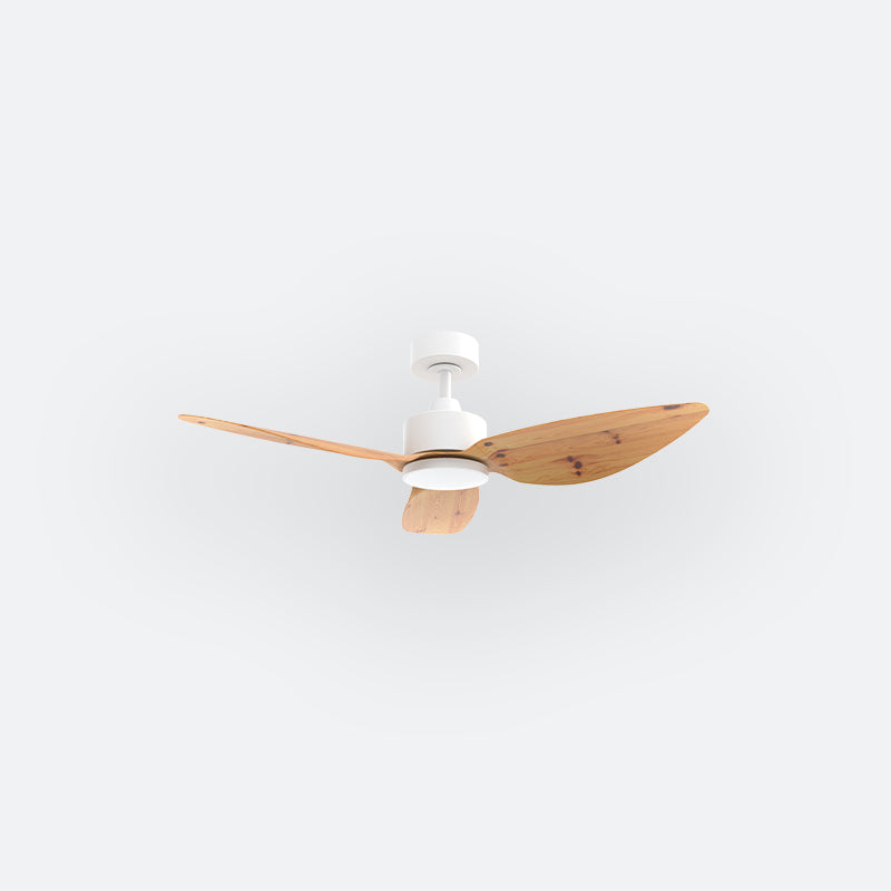 E10N Scandinavian DCI Decor Fan (NL2/SRF)